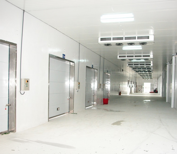 Thiết kế thi công và lắp đặt kho lạnh