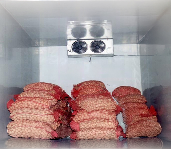 Kho lạnh giá tốt