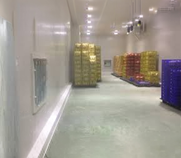 Kho lạnh bảo quản đá viên